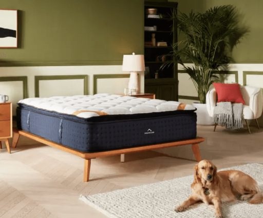 Dreamcloud Mattress