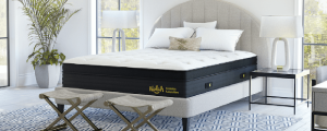 Nolah Evolution Mattress